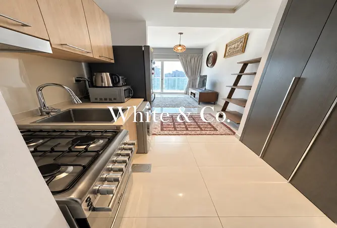 146896889 - Property Image 3