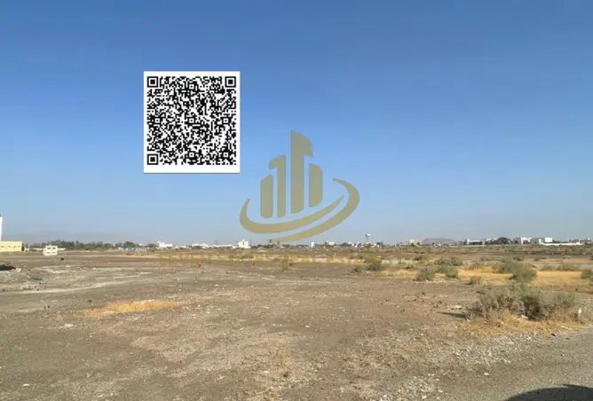 117273369 - Property Image 3