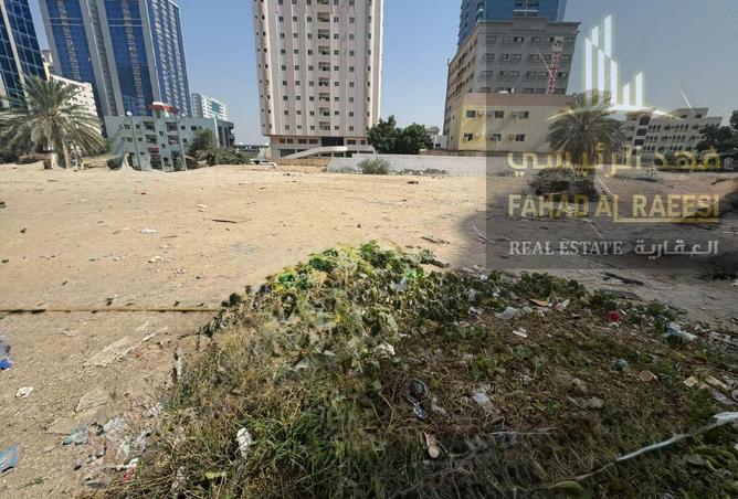 16268051 - Property Image 3