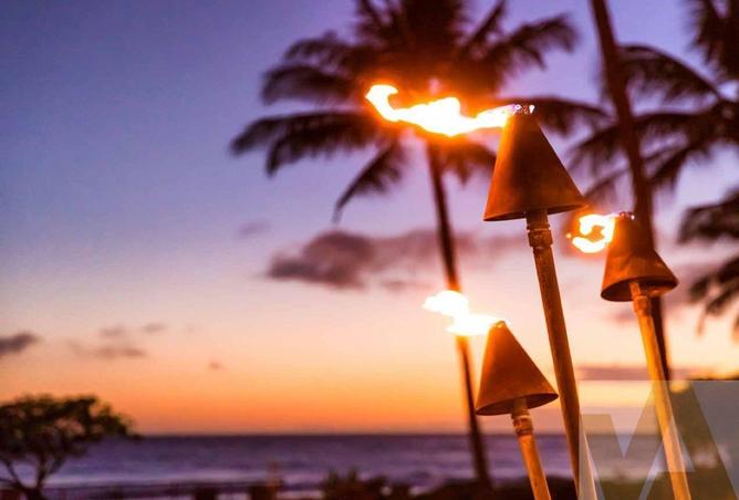 16274159 - Property Image 3