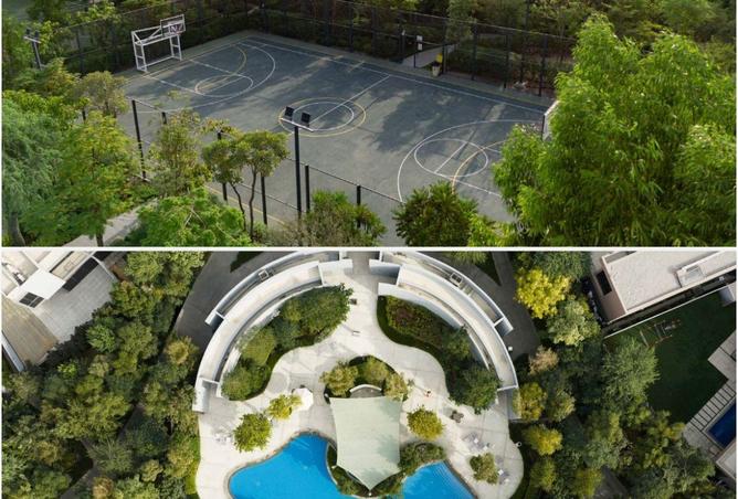 77366356 - Property Main Image