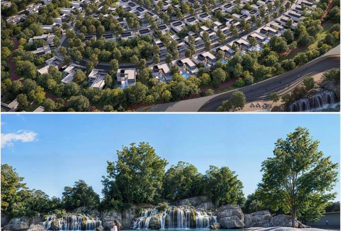 77366356 - Property Image 2