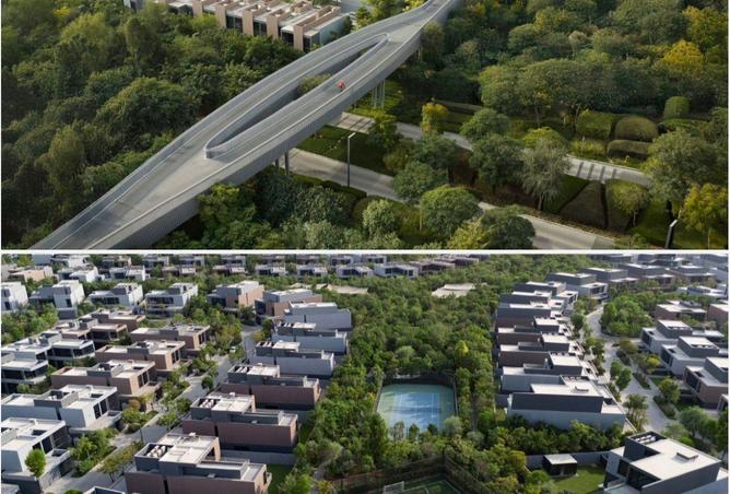 77366356 - Property Image 3