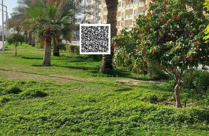 Apartment - Studio - 1 Bathroom for sale in Al Amira Village - Al Yasmeen - Ajman