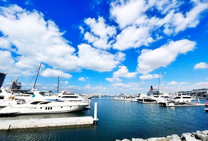 16096567 - صورة العقار 2