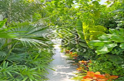 Villa - 4 Bedrooms - 5 Bathrooms for rent in Aura Gardens - Tilal Al Ghaf - Dubai