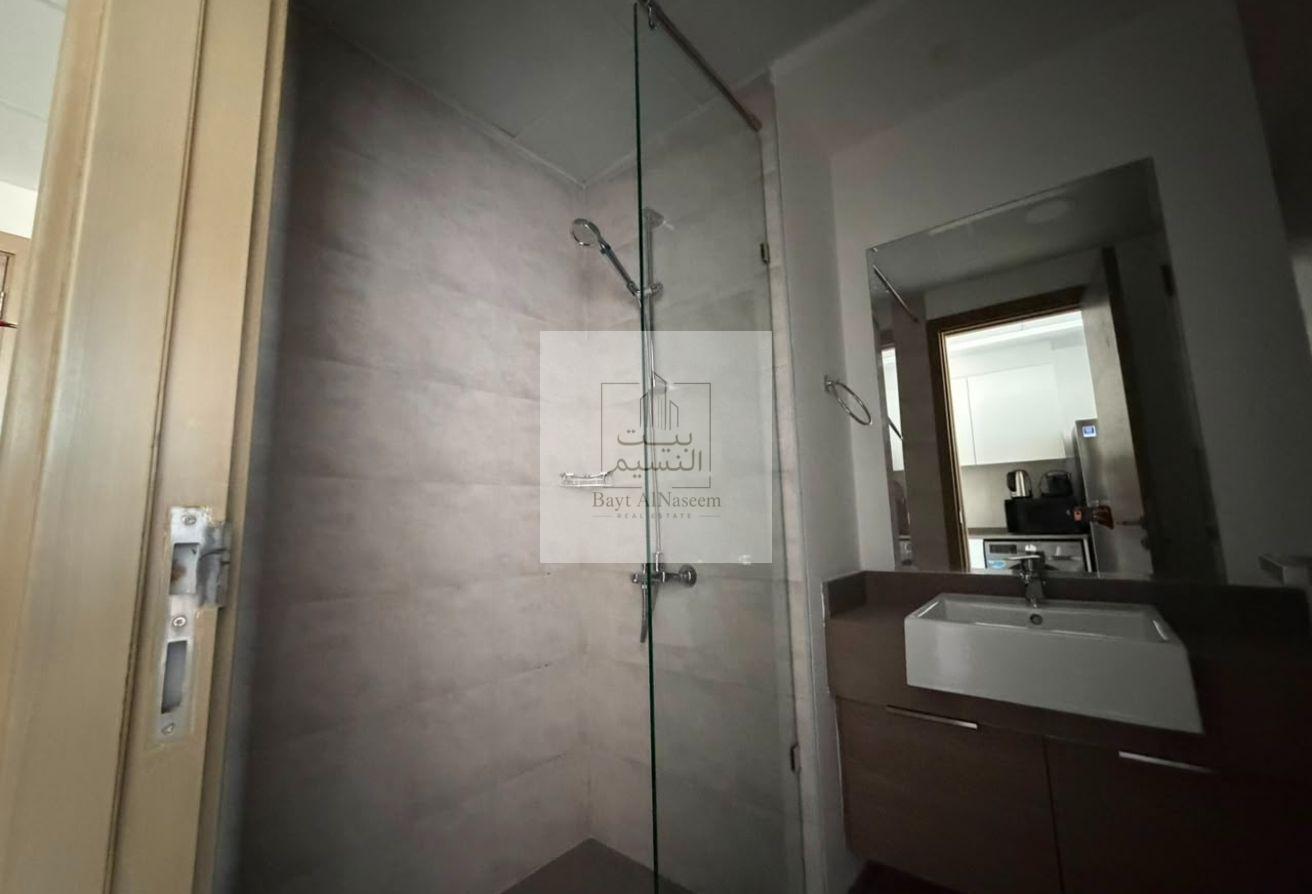 Furnished | Vacant | Flex Chqs | No Balcony photo 10