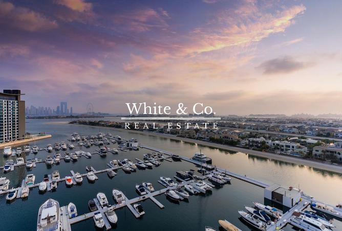 16000004 - صورة العقار 2