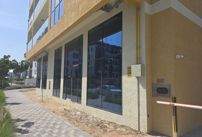 16291182 - صورة العقار 3