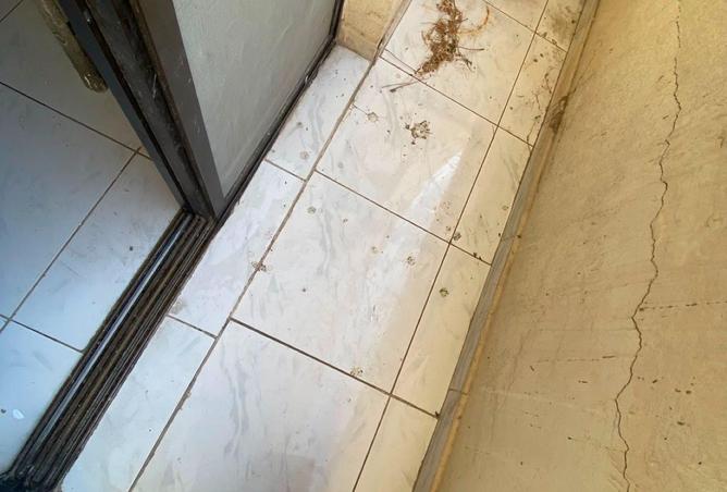 115037161 - Property Image 3