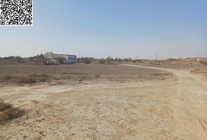 74231543 - Property Image 3