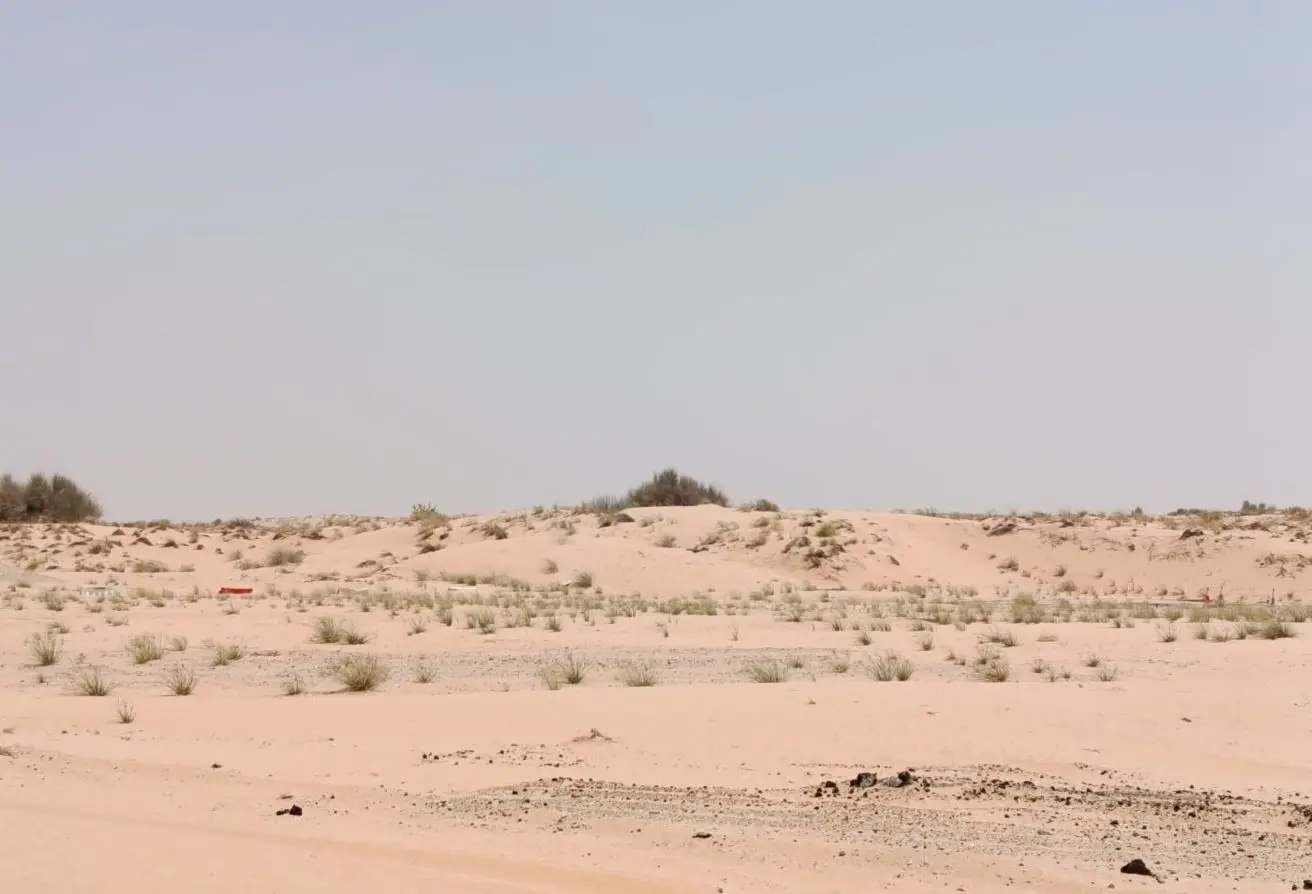 156211003 - Property Main Image