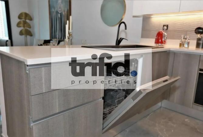 53576905 - Property Image 3