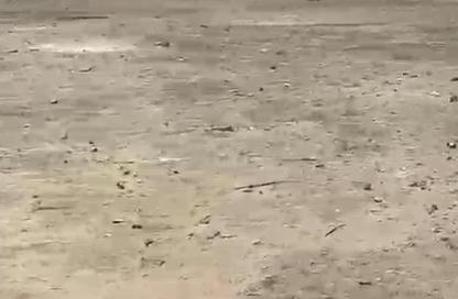أرض - استوديو للايجار في المجاز 1 - المجاز - الشارقة أرض - استوديو للايجار في المجاز 1 - المجاز - الشارقة