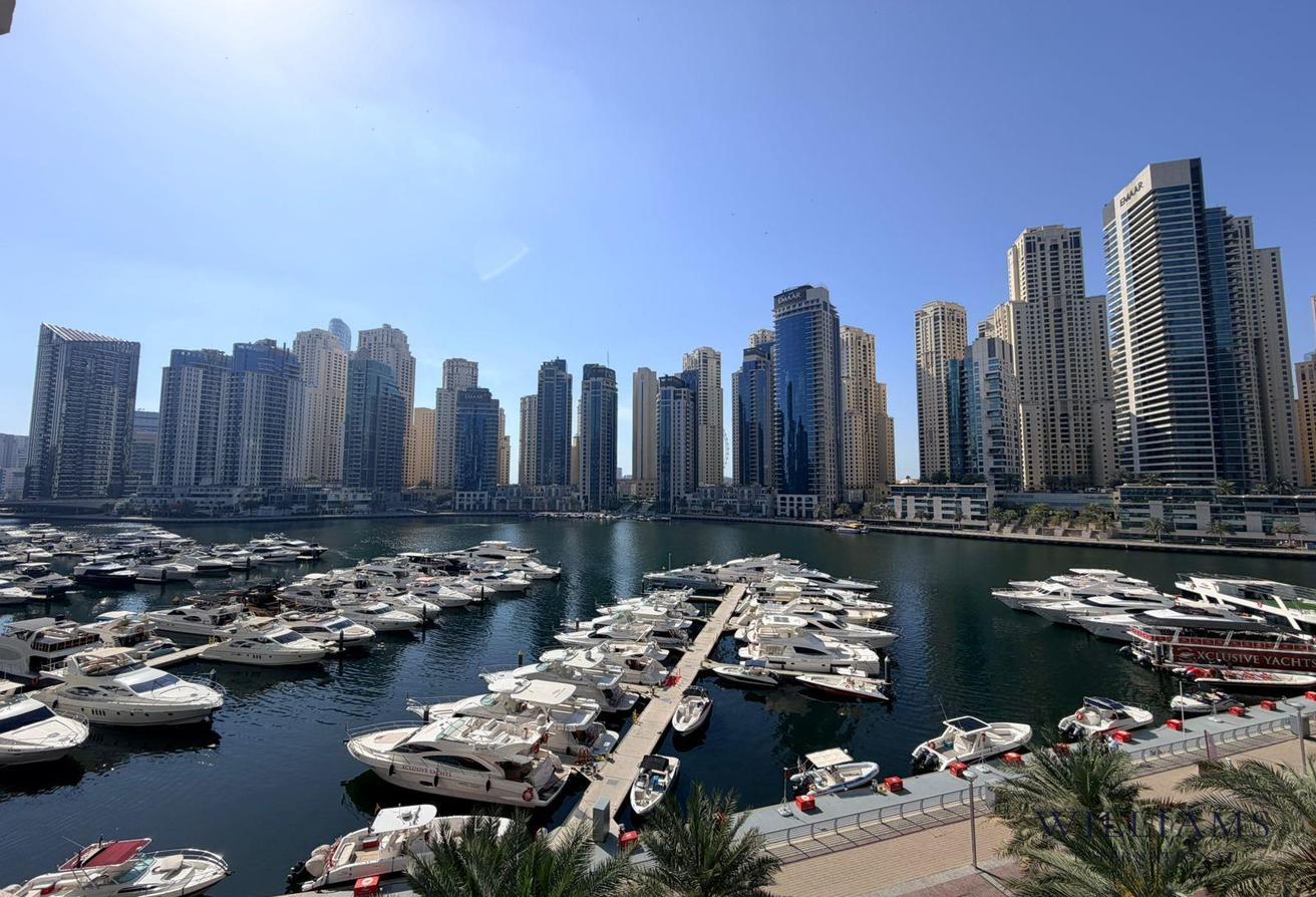 FULL MARINA VIEWS | BRIGHT | UPGRADED photo 11