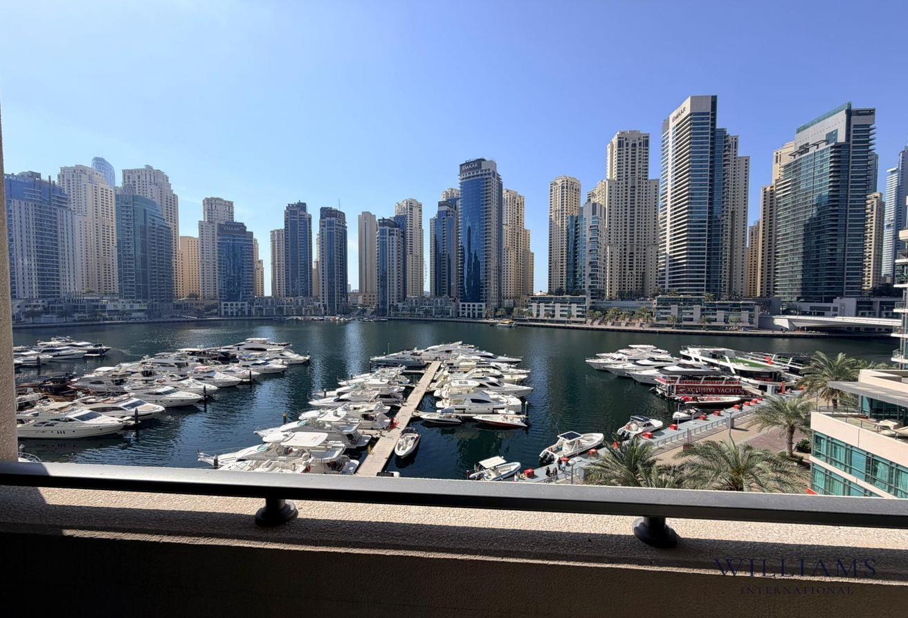 FULL MARINA VIEWS | BRIGHT | UPGRADED photo 10