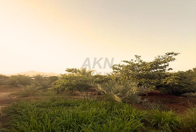 77362025 - Property Image 2