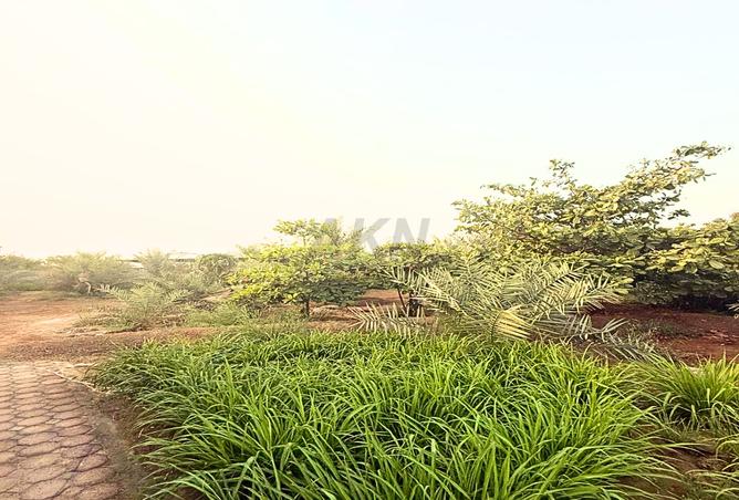 77362025 - Property Image 3