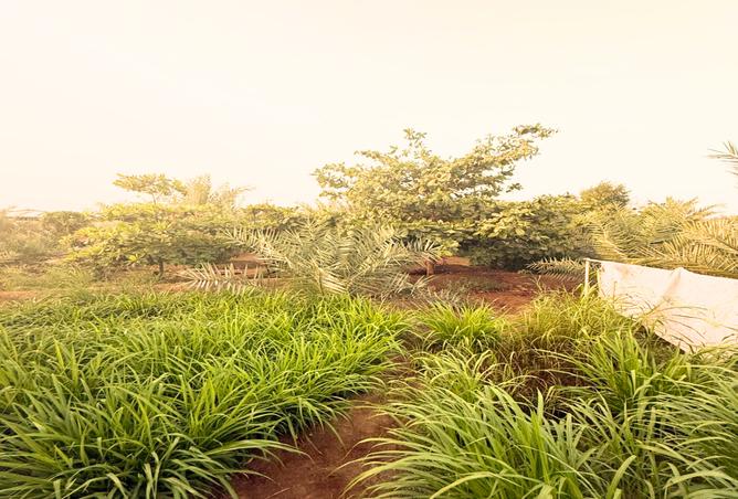 77362025 - Property Main Image