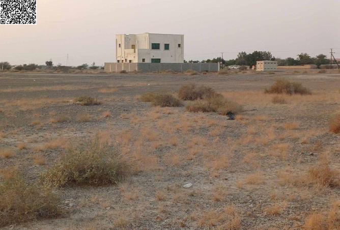 16244522 - صورة العقار 3