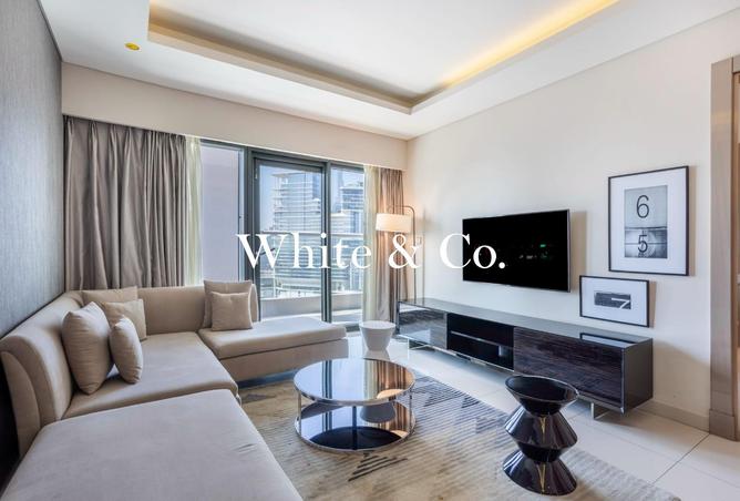 16067215 - Property Image 3