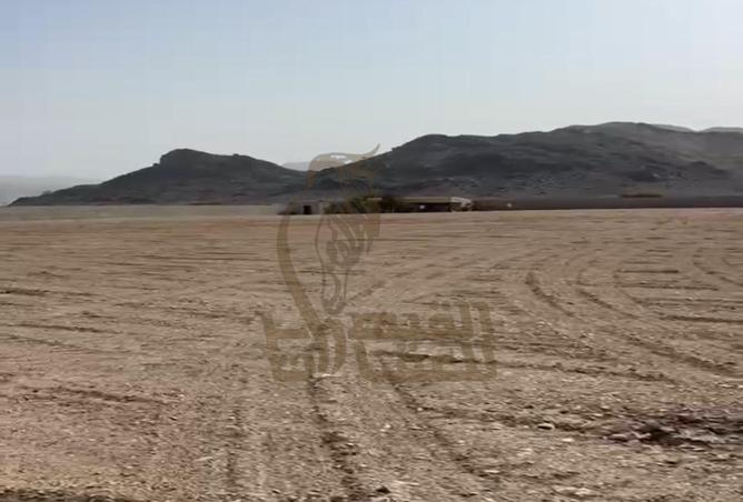 16230736 - صورة العقار 3