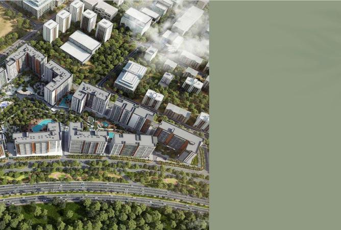 16185438 - Property Image 3