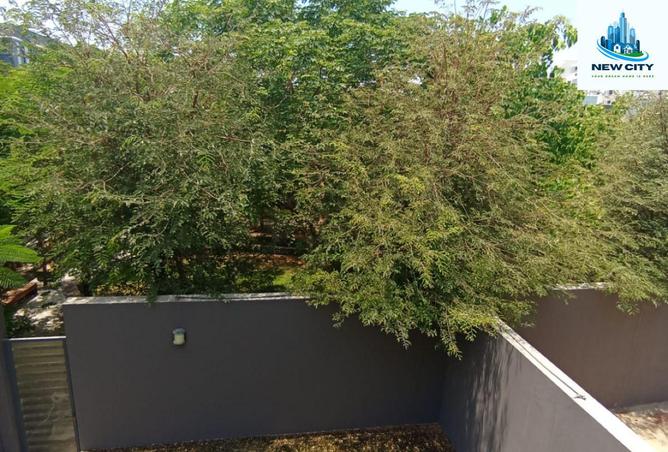 16156998 - Property Image 3