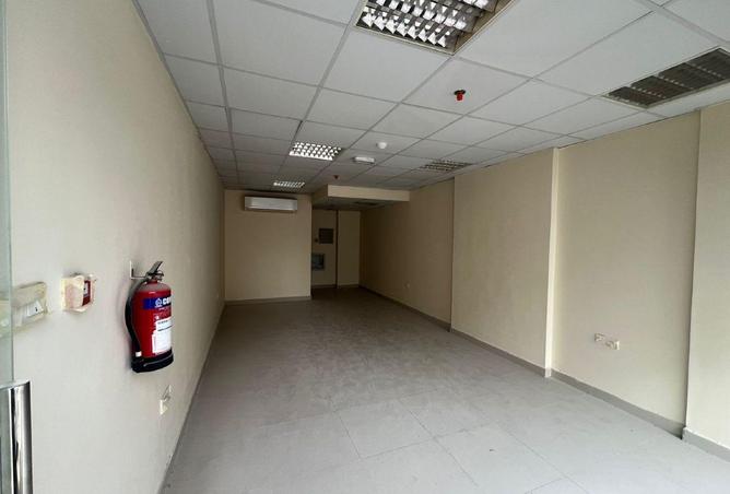 16154654 - Property Image 3