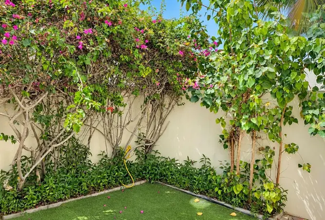 121097885 - Property Image 2