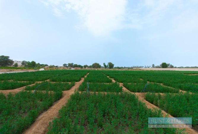 16295911 - Property Image 3