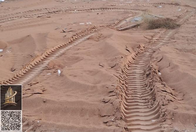 16207287 - Property Image 2