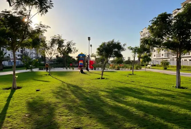 115474591 - صورة العقار 3