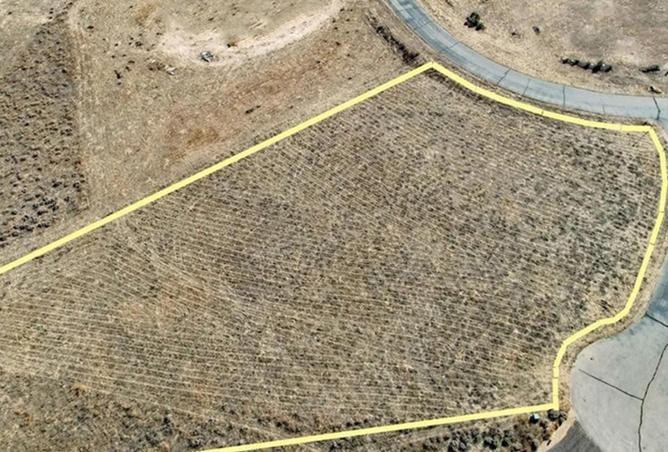 16069920 - صورة العقار 3