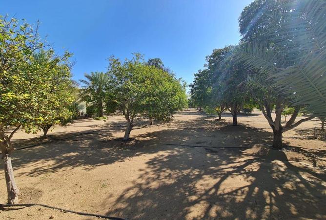 58171057 - صورة العقار 2