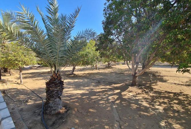 58171057 - صورة العقار 3