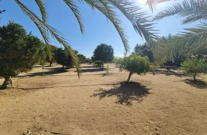 مزرعة - استوديو للبيع في بوكرية - أبوظبي