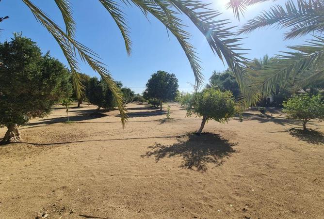 58171057 - الصورة الرئيسية للعقار