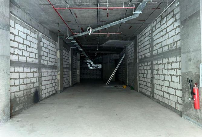 16106209 - Property Image 3