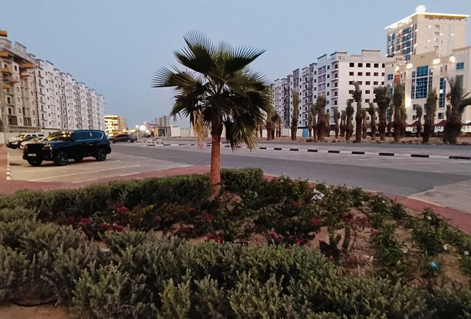 15995585 - صورة العقار 3