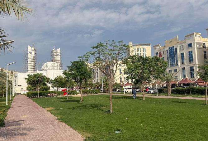 83242202 - صورة العقار 2