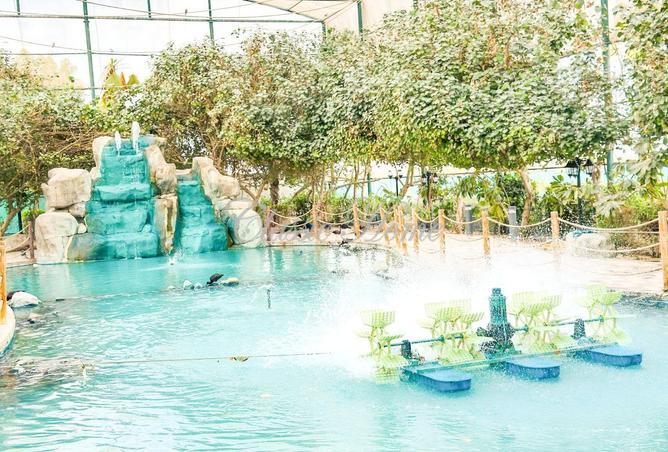 56147329 - صورة العقار 2