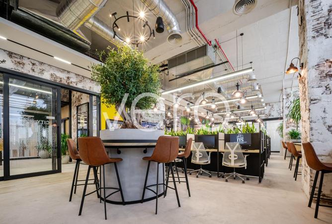 16299444 - Property Image 3