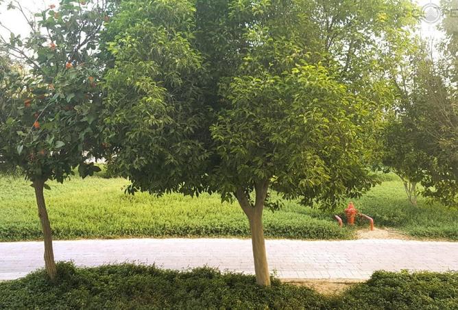 16238339 - Property Image 2