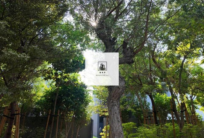 15972288 - صورة العقار 2