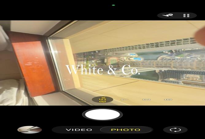 91818073 - Property Image 3