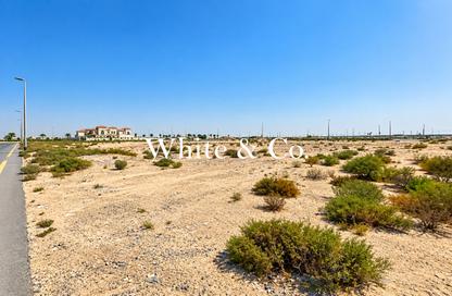 Land - Studio for sale in Jebel Ali Hills - Saih Shuaib 1 - Jebel Ali - Dubai