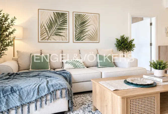 146458381 - Property Image 3