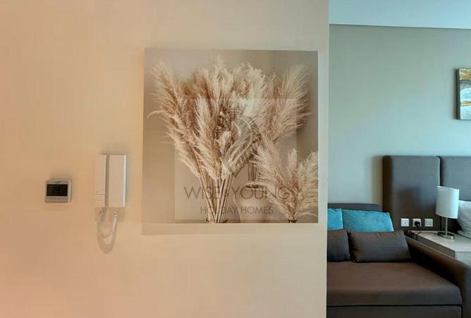 132966146 - Property Image 3