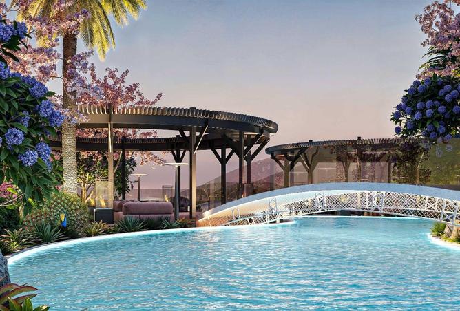 16269827 - Property Image 3